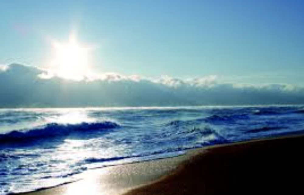 Florida Beach