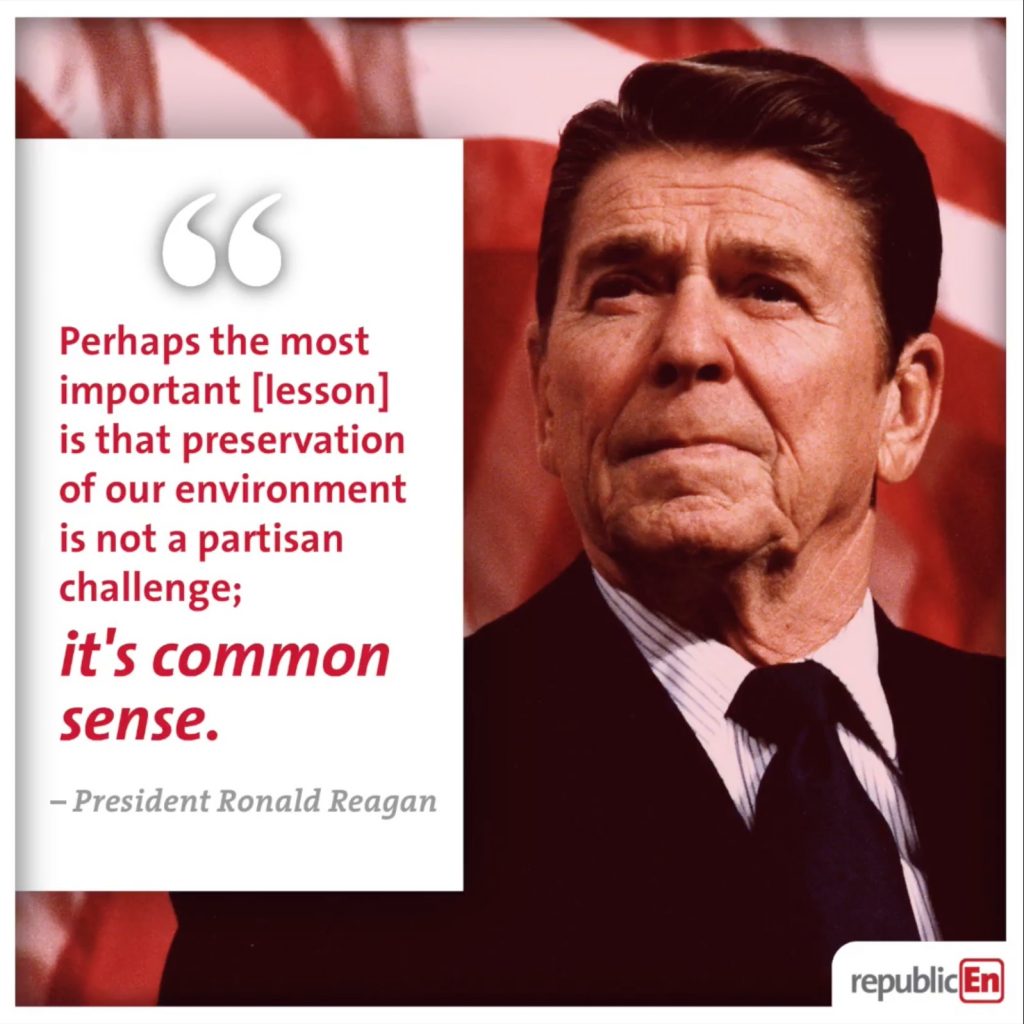 Reagan common sense quote graphic