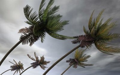 Young conservatives hold climate rally in Florida