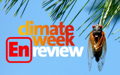 Climate Week En Review: June 4, 2021