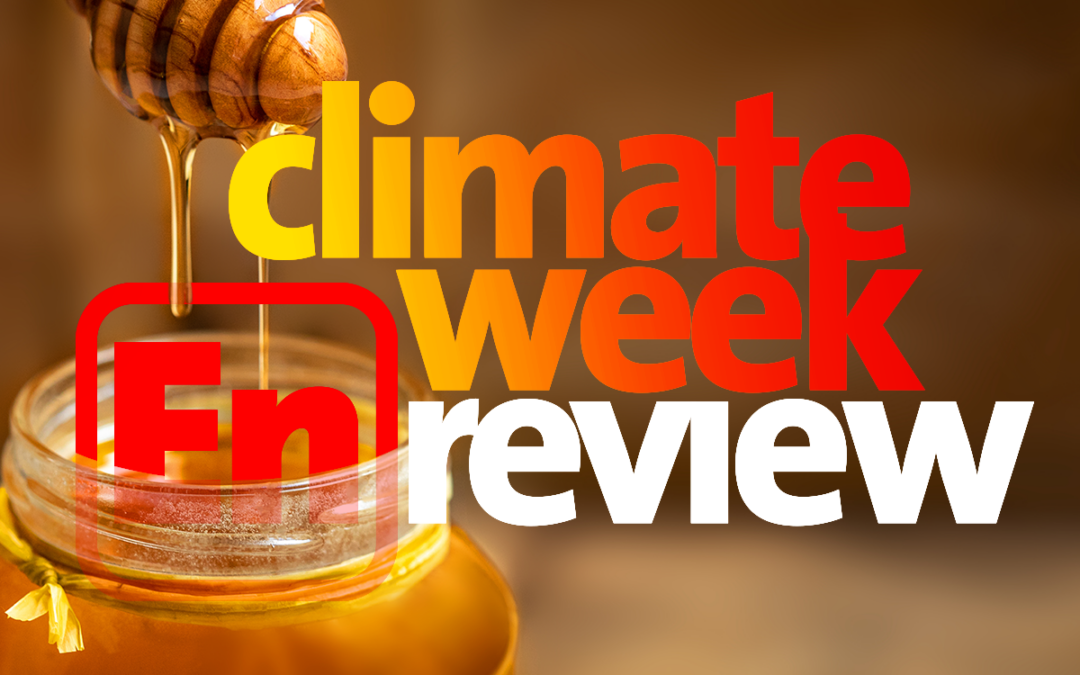 Climate Week En Review: July 30, 2021