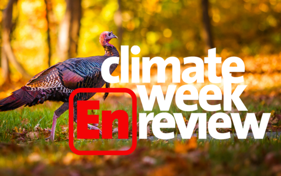 Climate Week En Review: November 18, 2022