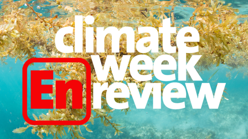 Climate Week En Review: July 28, 2023