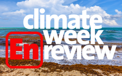 Climate Week En Review: August 2, 2024