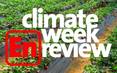 Climate Week En Review: July 26, 2024