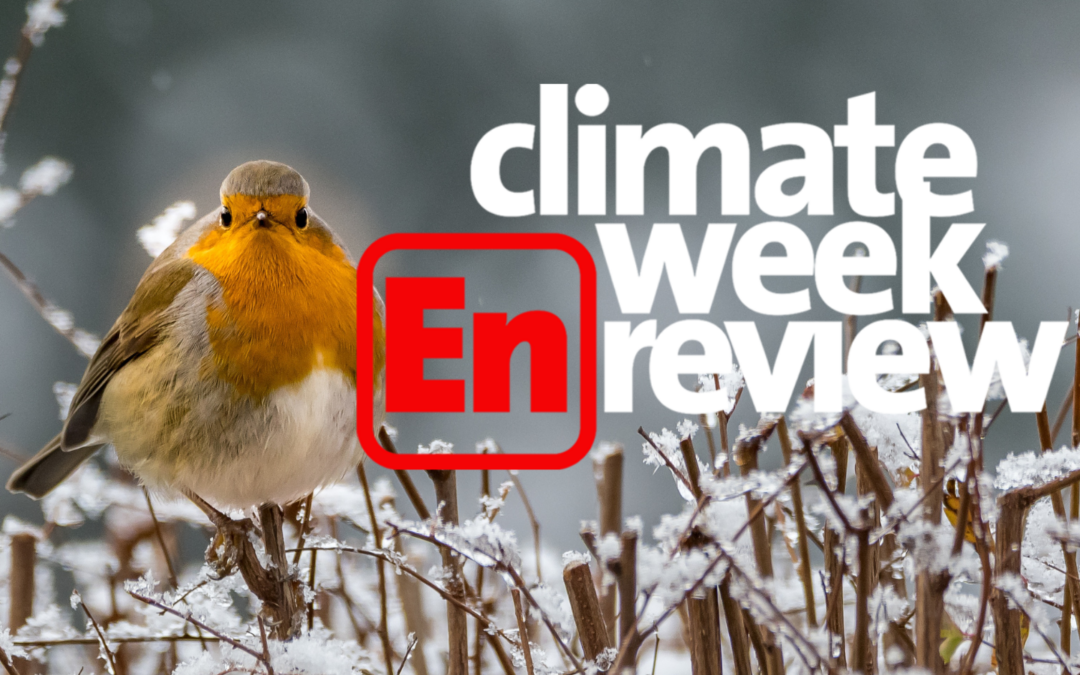 Climate Week En Review: We’re Back!