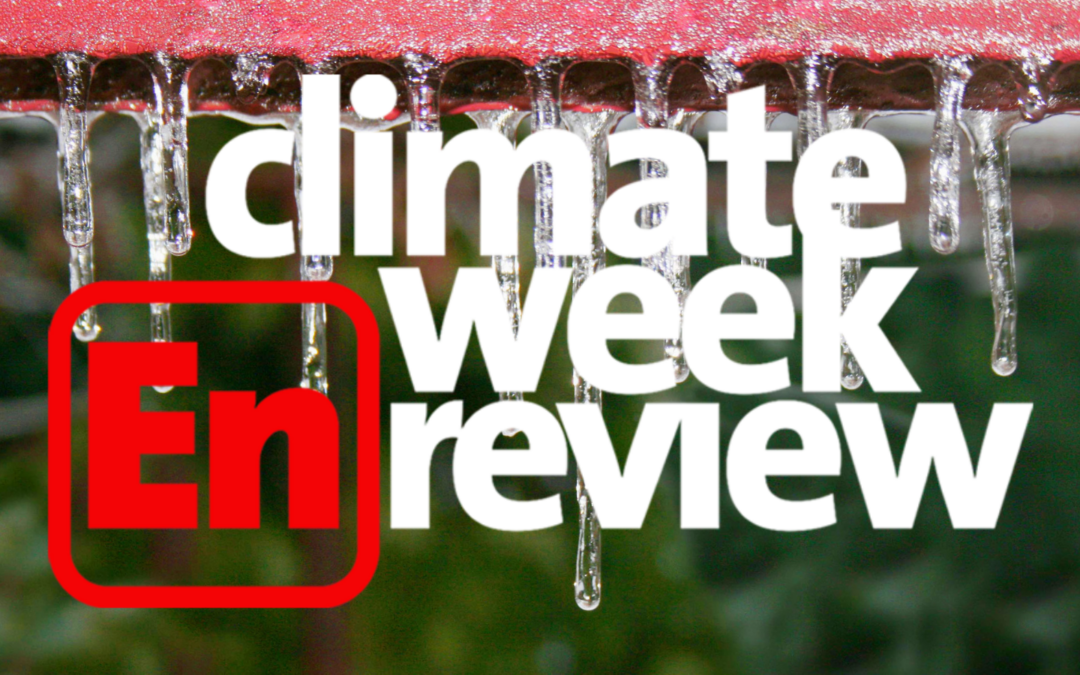 Climate Week En Review: EcoRight Love