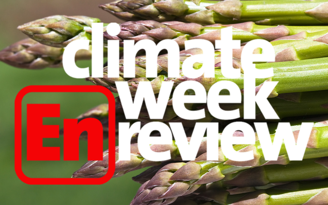 Climate Week En Review: Springing