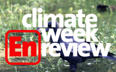Climate Week En Review: Friday the 13th Edition