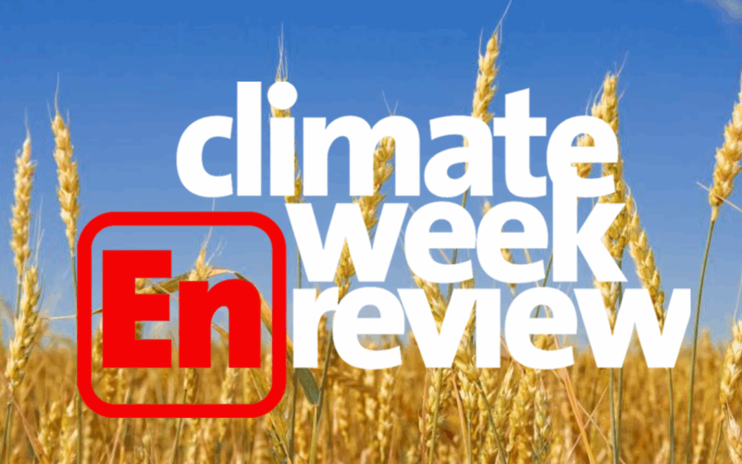 Climate Week En Review: Harvesting