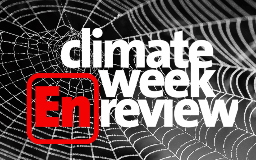 Climate Week En Review: Spooky Season