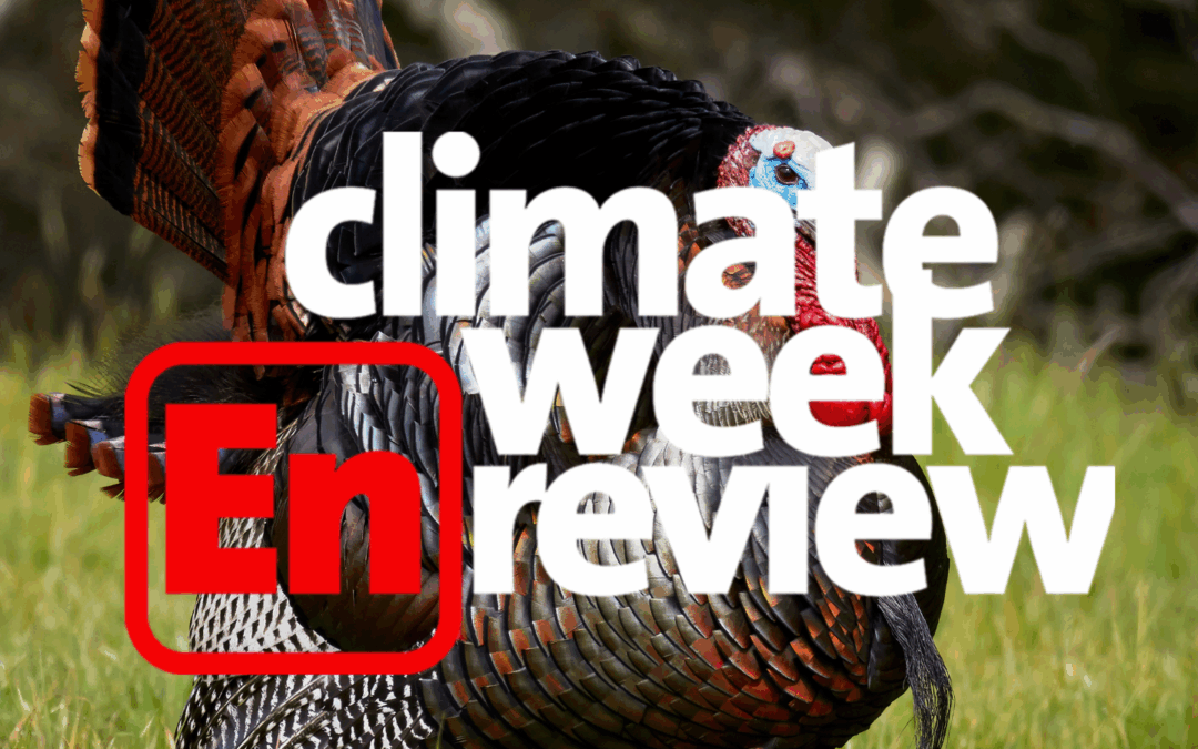 Climate Week En Review: Happy Early Thanksgiving