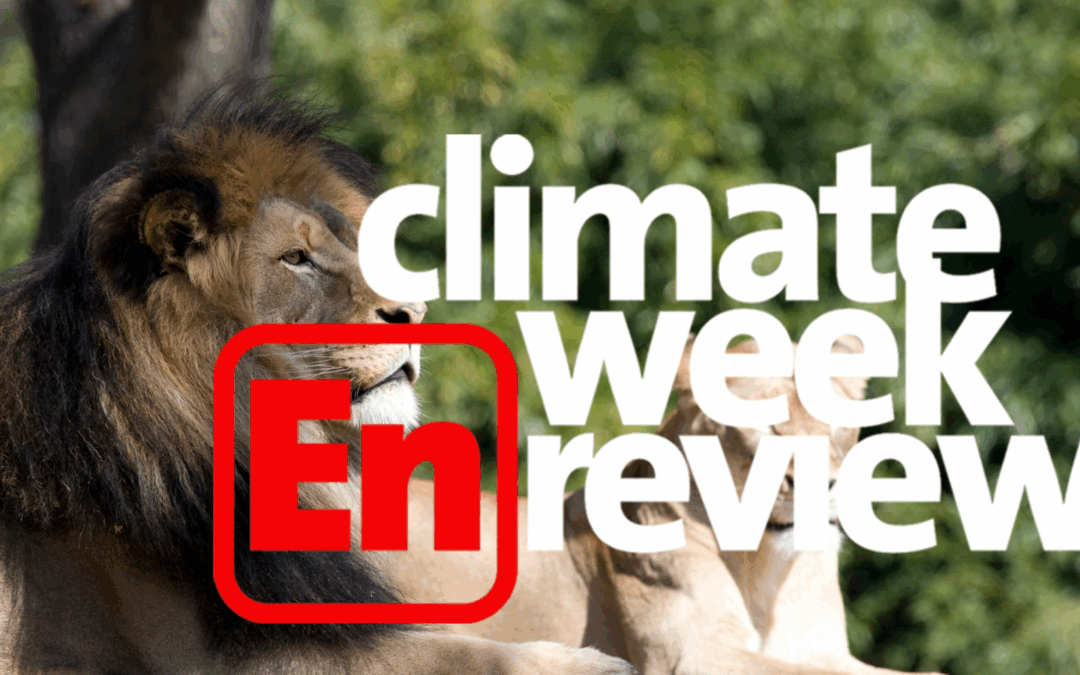 Climate Week En Review: the lion never sleeps