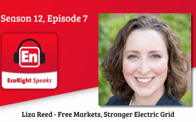 The EcoRight Speaks talks energy transmission and more with Niskanen’s Liza Reed
