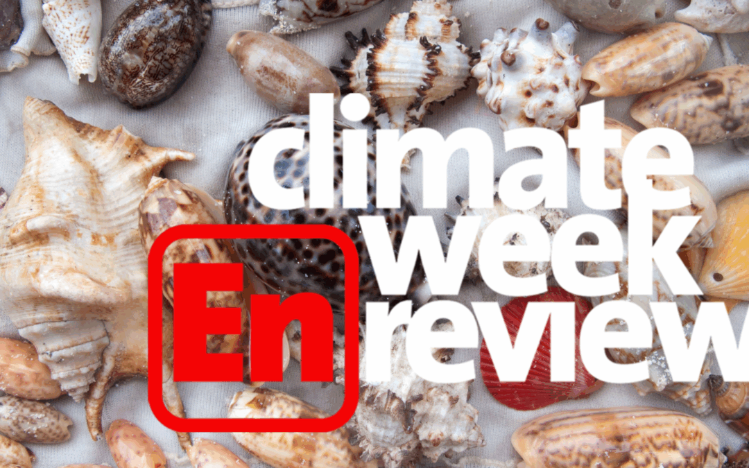 Climatw Week En Review: Down by the Seashore (NOT)