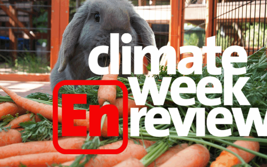 Climate Week En Review: Eat More Carrots