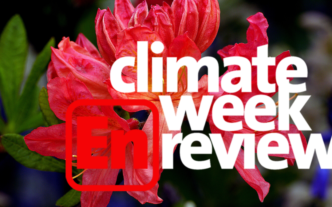 Climate Week En Review: May Flowers