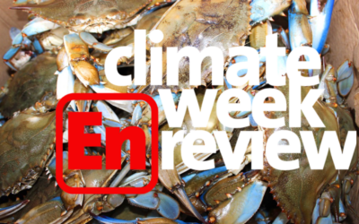 Climate Week En Review: Feeling Crabby?