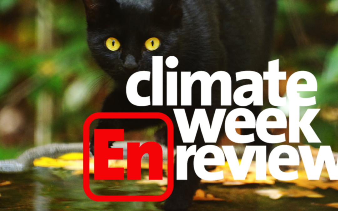 Climate Week En Review: Apple Cider Donuts